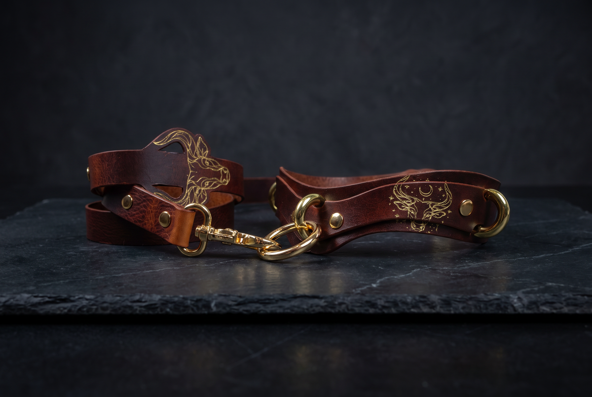 BDSM Collar Guide: Meaning, Style & Modern Wear