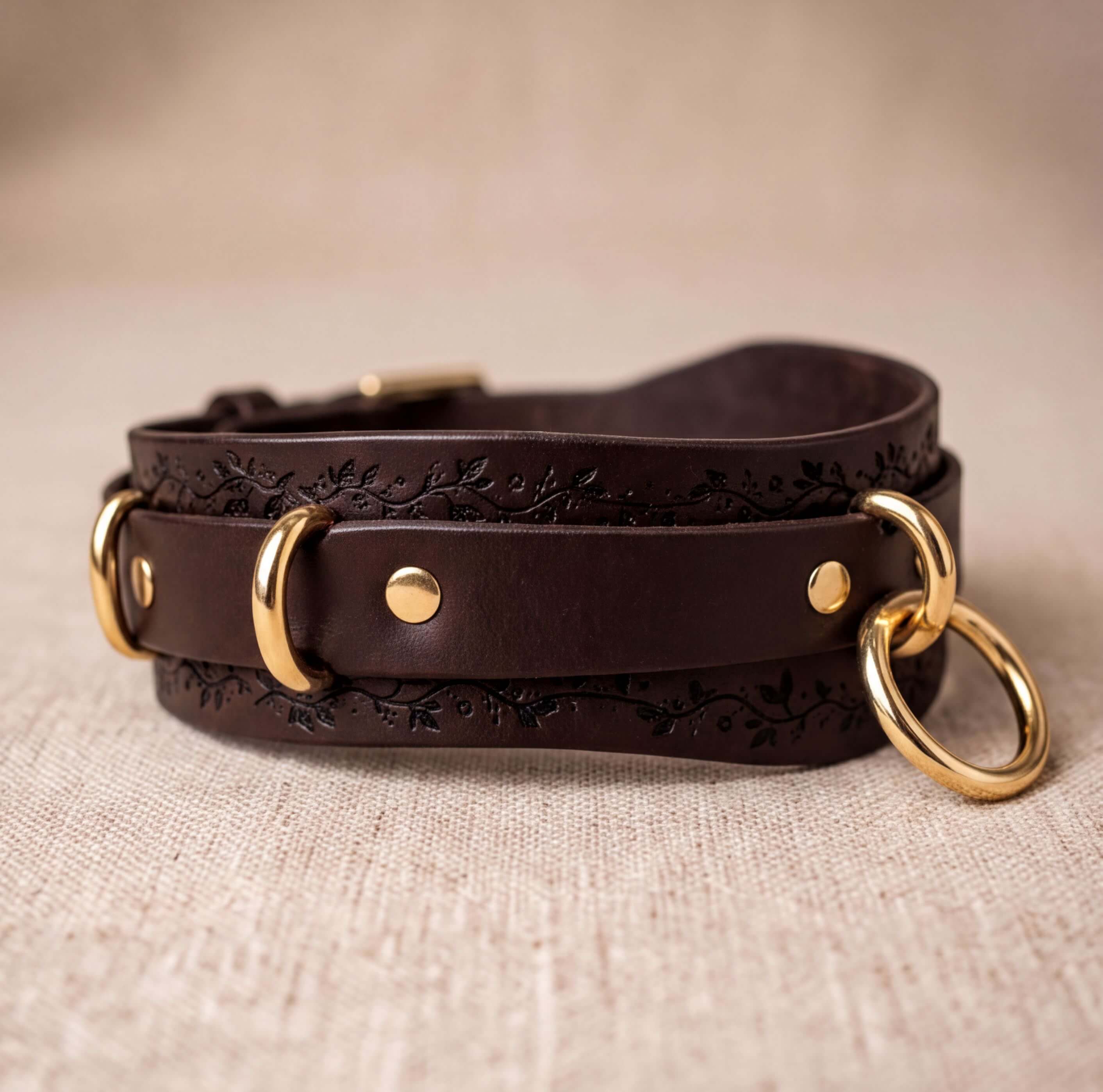 A brown leather collar with gold rings and a decorative pattern on the leather.