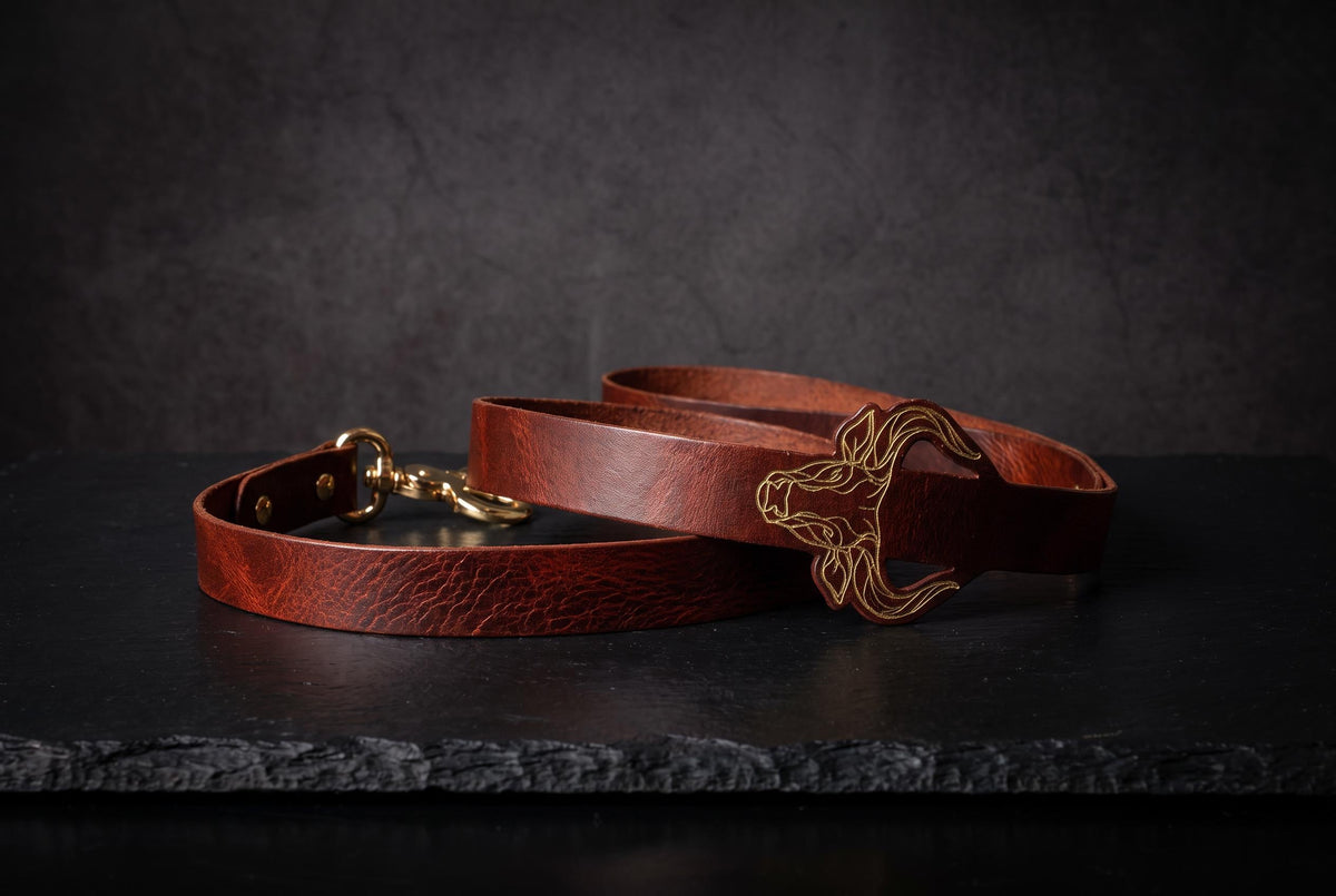 A brown leather belt with a gold buckle is displayed against a dark background.