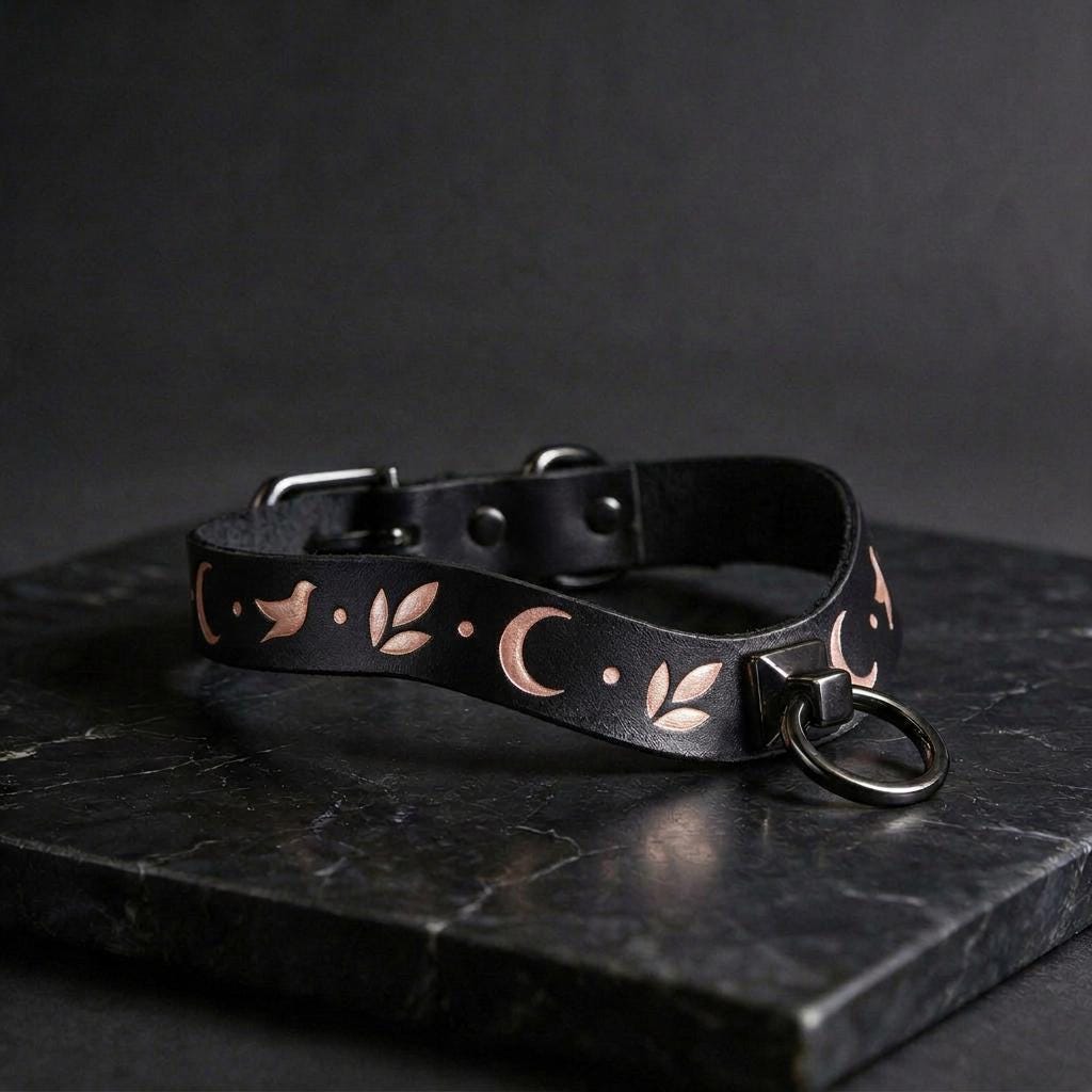 A black leather collar with a metal ring and leaf-like designs on it, resting on a dark surface.