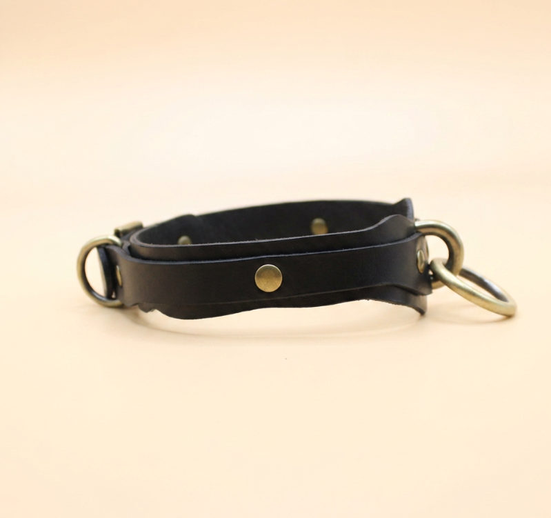 A black leather collar with metal rings and a buckle.