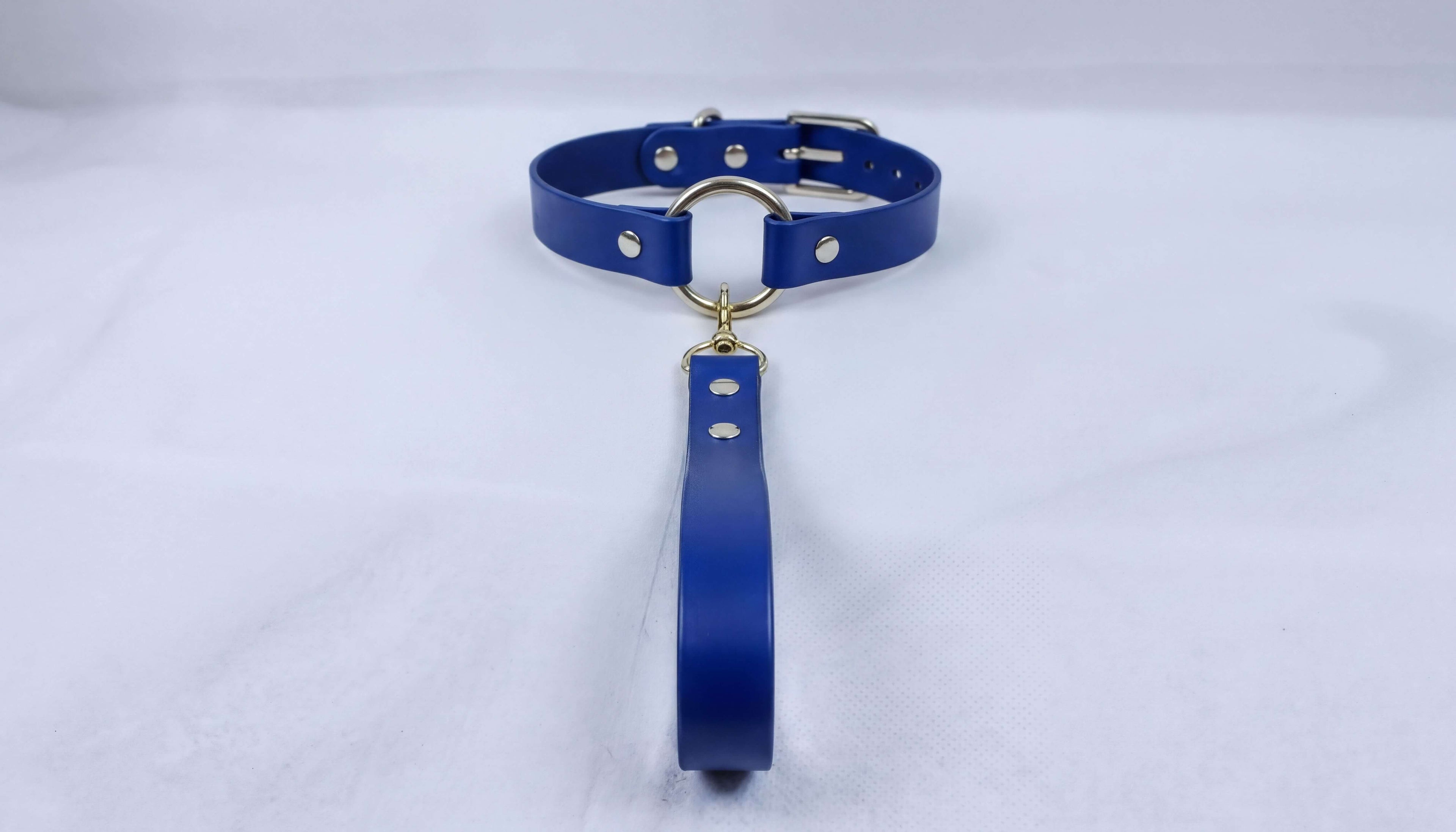 A blue leather collar with a gold-colored buckle and a dangling handle is shown against a white background.