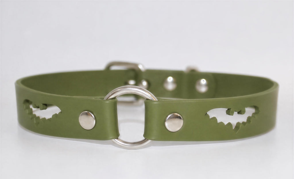 A green leather dog collar with a silver buckle and bat-shaped cutouts on the sides.