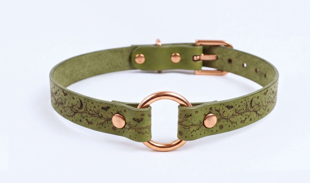 A green leather collar with a metal ring and buckle.
