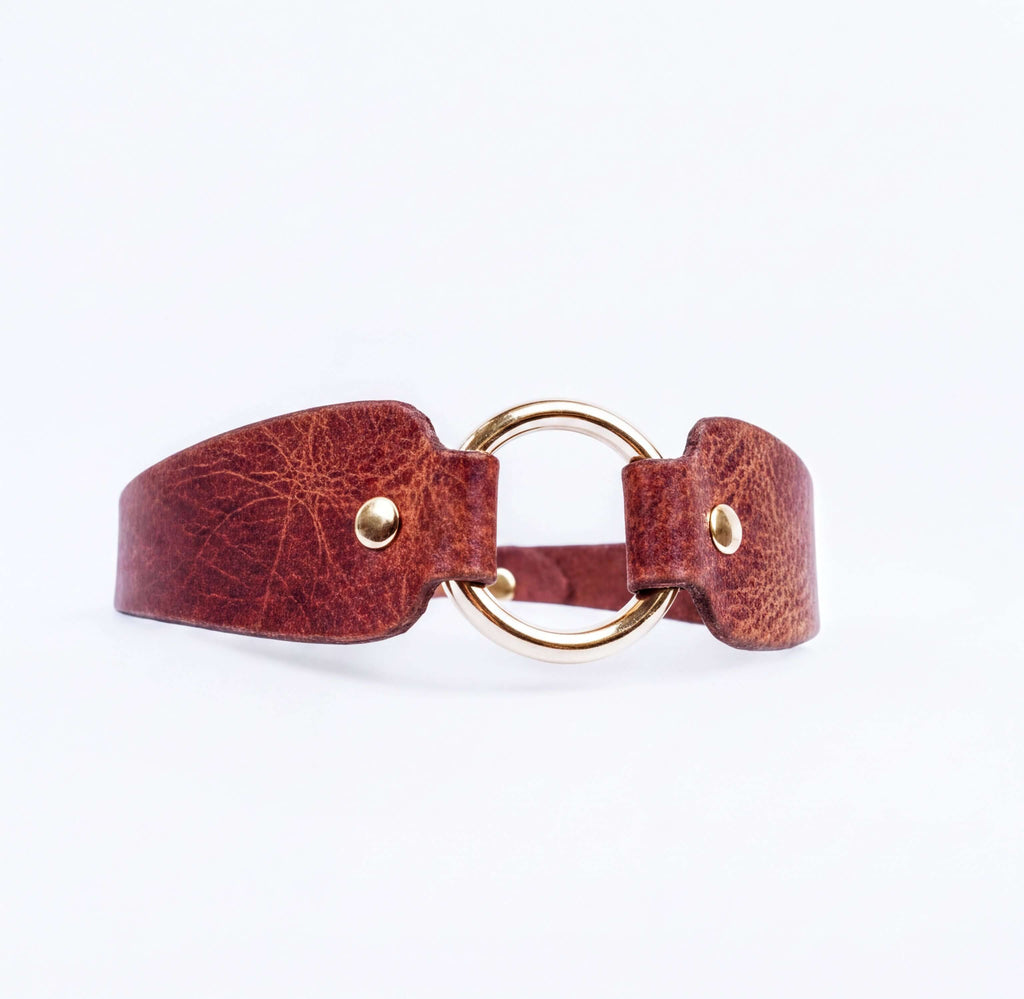 A brown leather choker necklace with a gold-colored circular buckle.