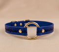 A blue leather collar with a gold ring and decorative pattern on the side.