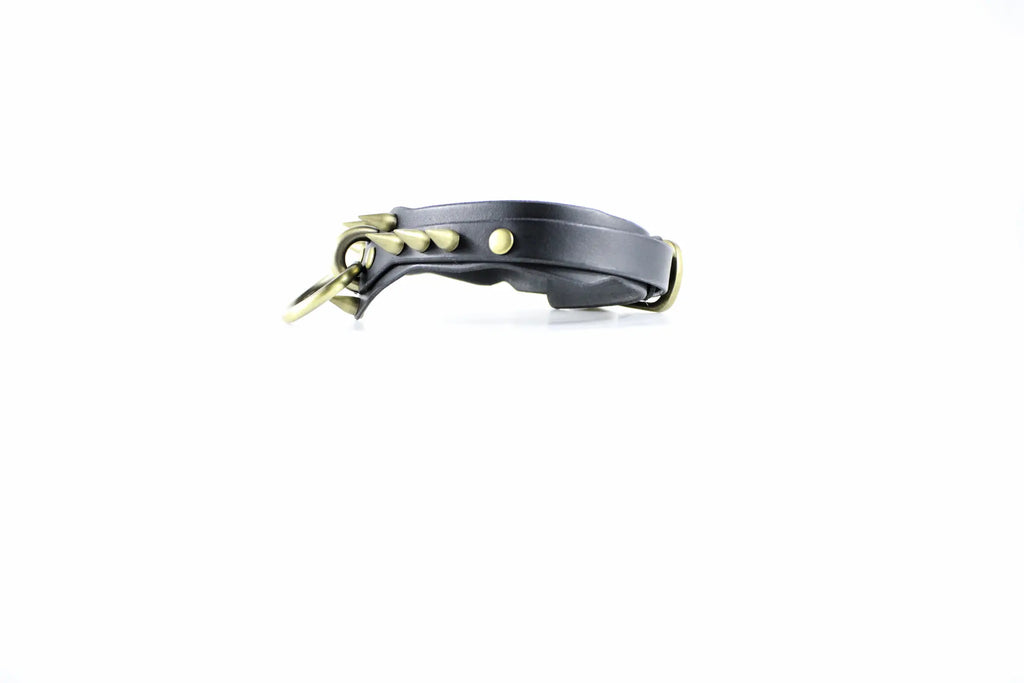 A black leather collar with gold-colored studs and a metal clasp.