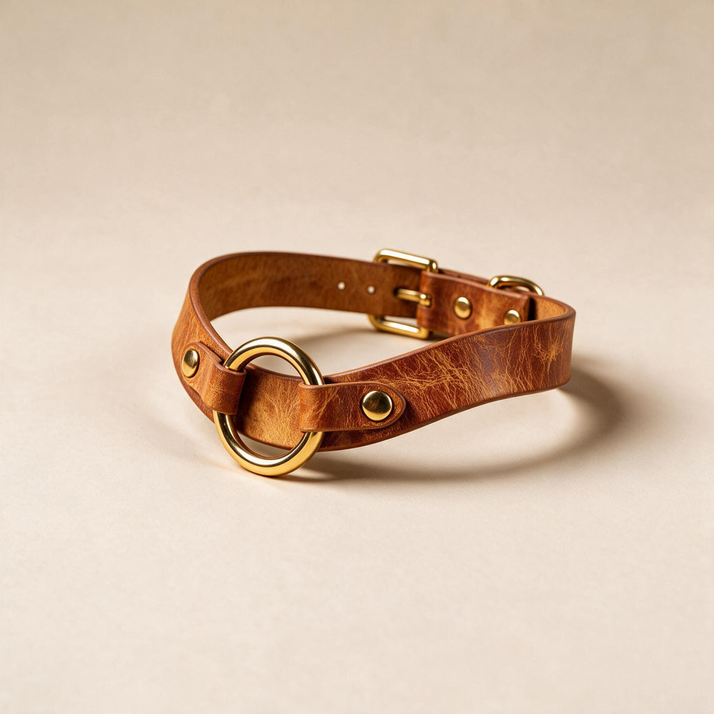 A brown leather choker collar with a gold-colored buckle and two gold-colored studs on the collar.