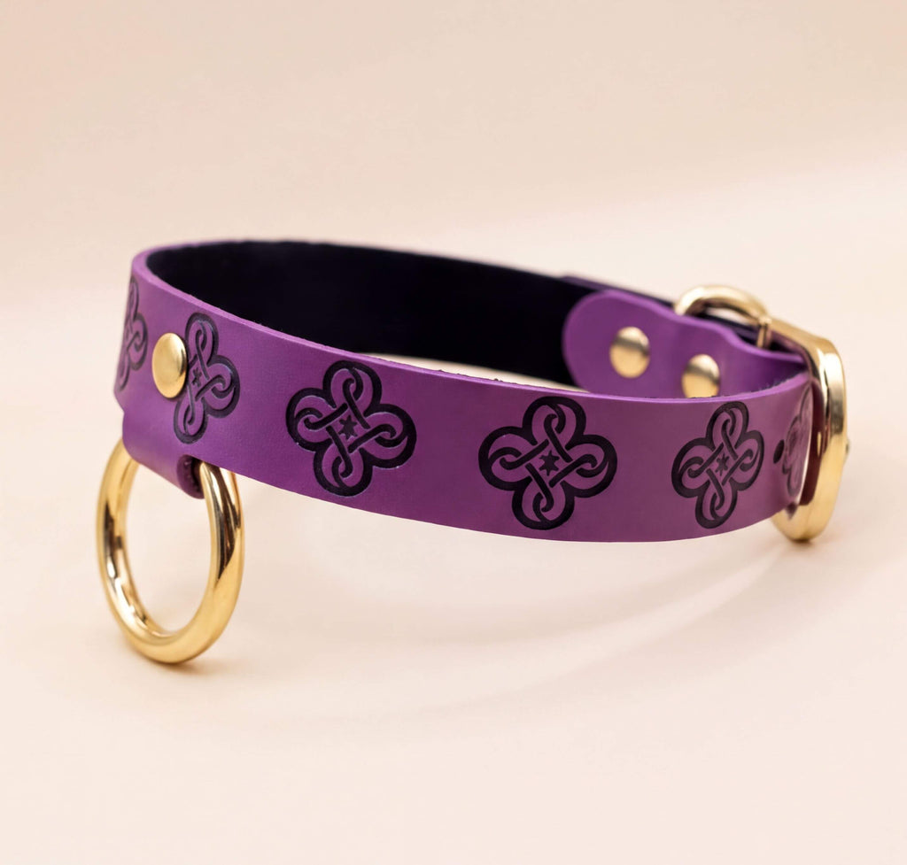 A purple leather dog collar with a gold-colored buckle and two round rings on the sides.