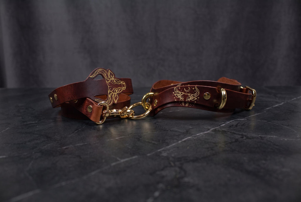 A brown leather leash with a gold-colored buckle and a gold-colored tag is displayed on a dark surface.