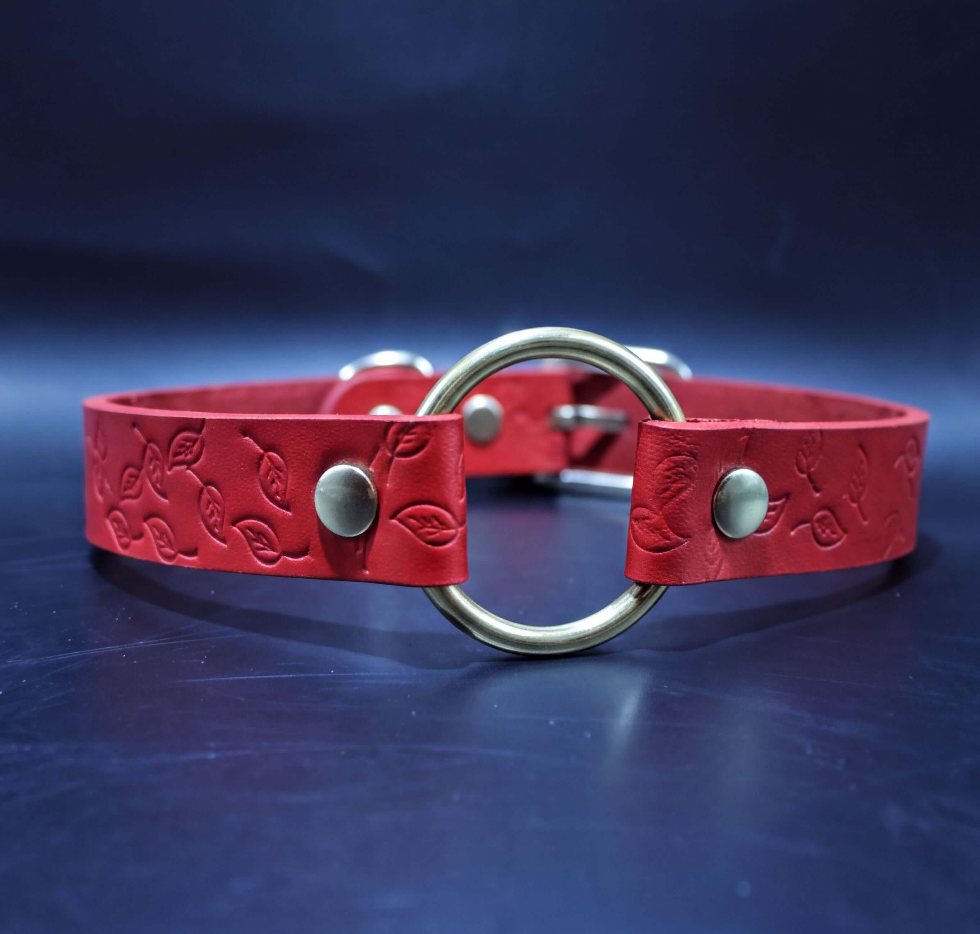 A red leather collar with a gold-colored metal ring and two metal buttons.