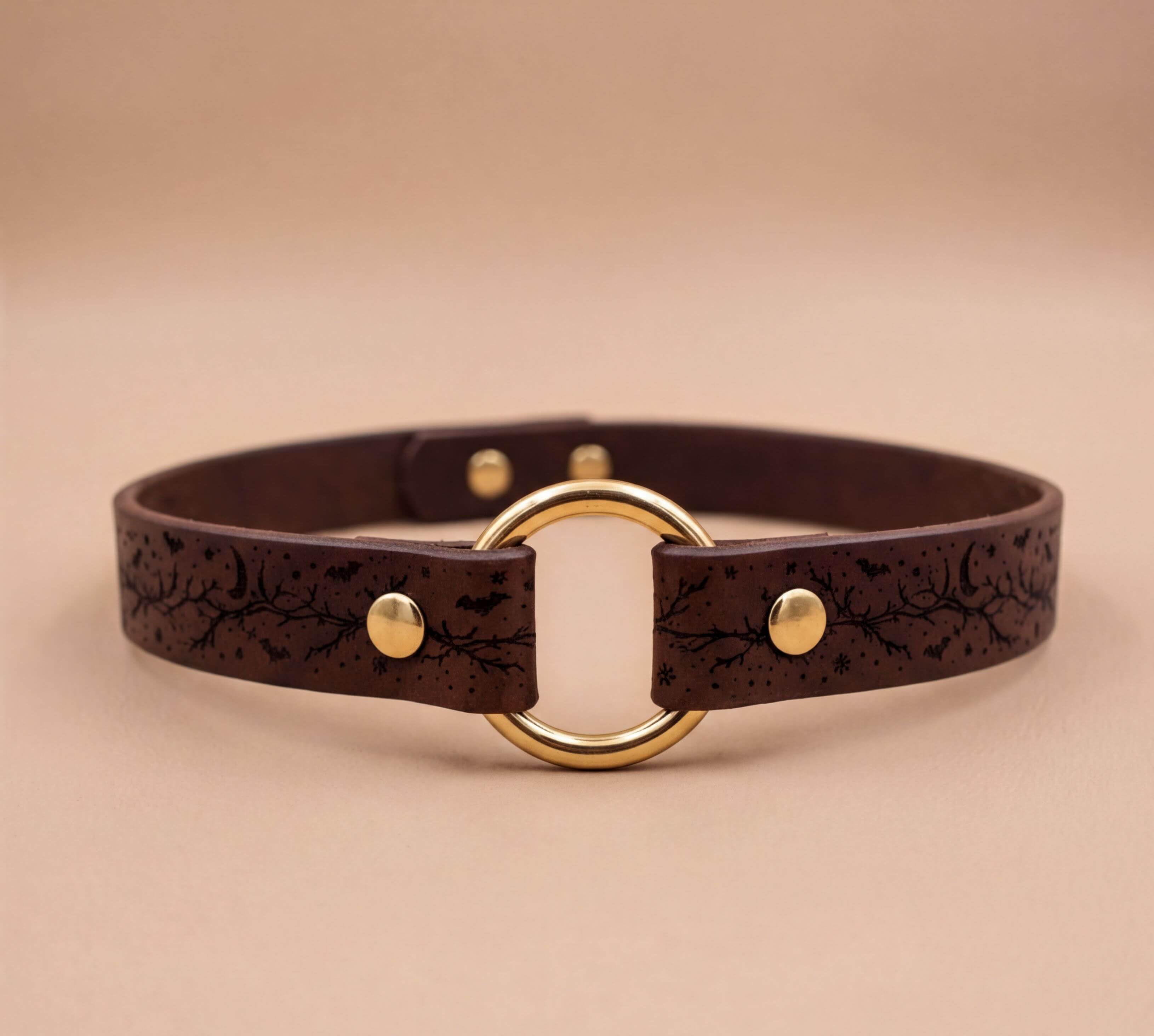A brown leather choker necklace with a gold-colored circular clasp and a leaf-like design on the strap.