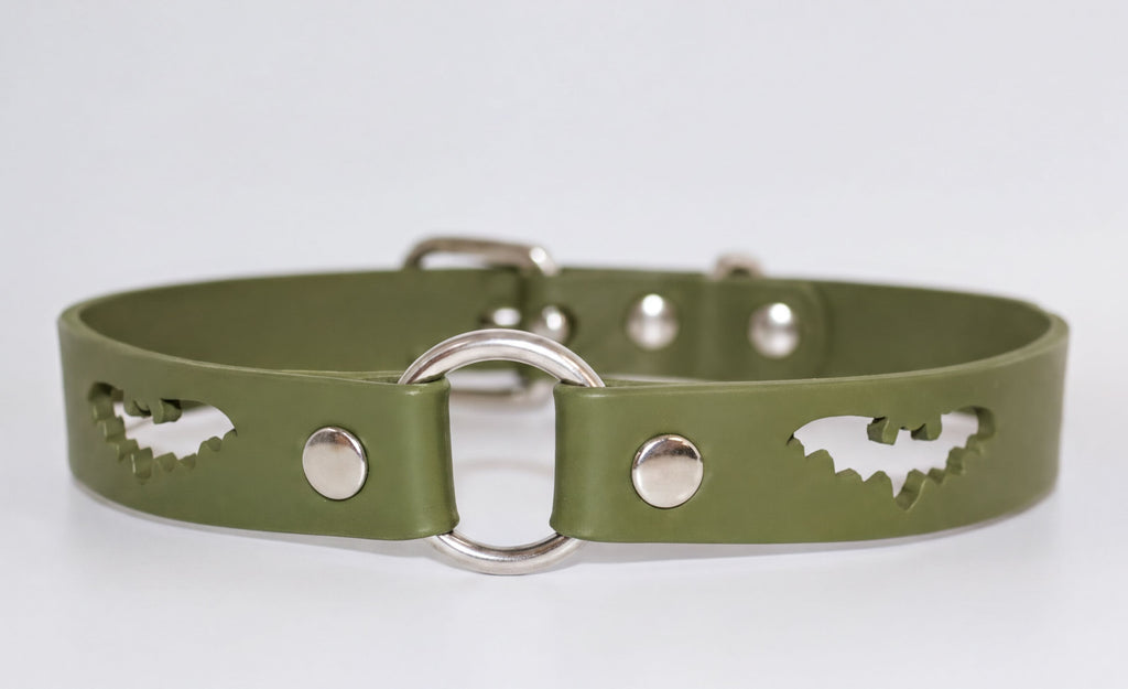 A green leather dog collar with a silver buckle and bat-shaped cutouts on the sides.