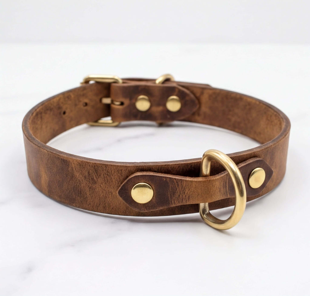 A brown leather dog collar with a gold-colored buckle and ring.