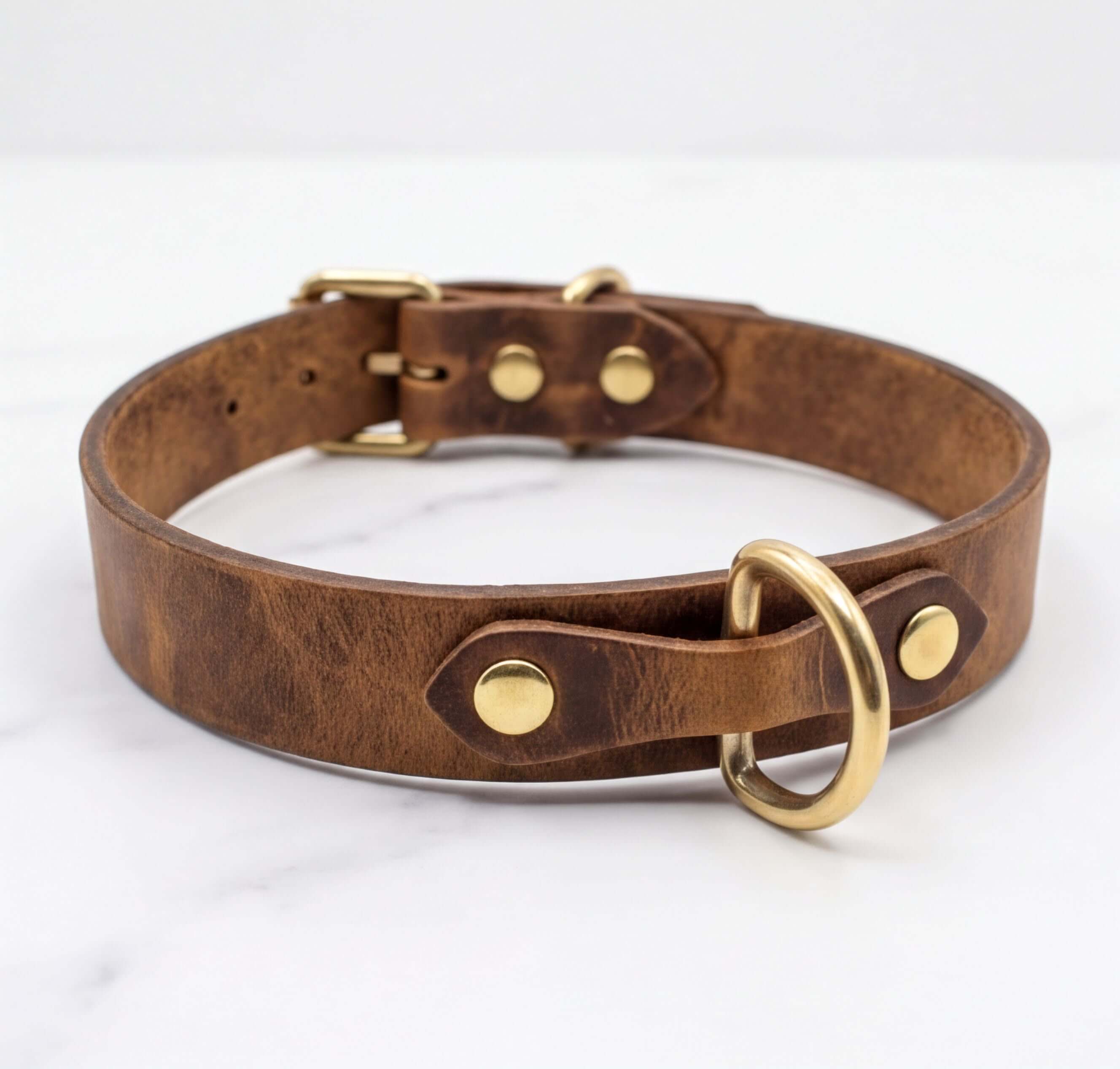A brown leather dog collar with a gold-colored buckle and ring.