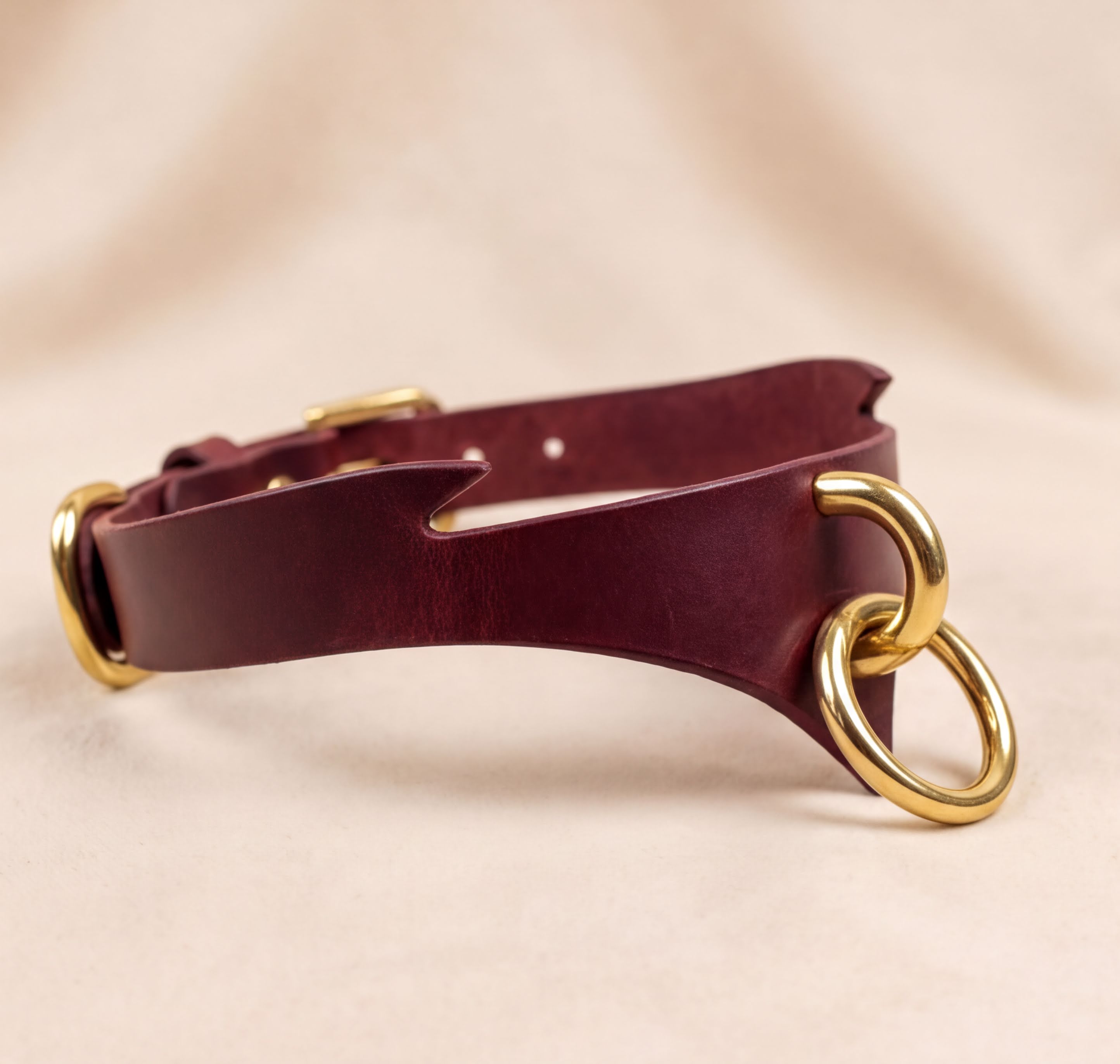 A burgundy leather choker necklace with a gold-colored metal clasp and two circular rings.