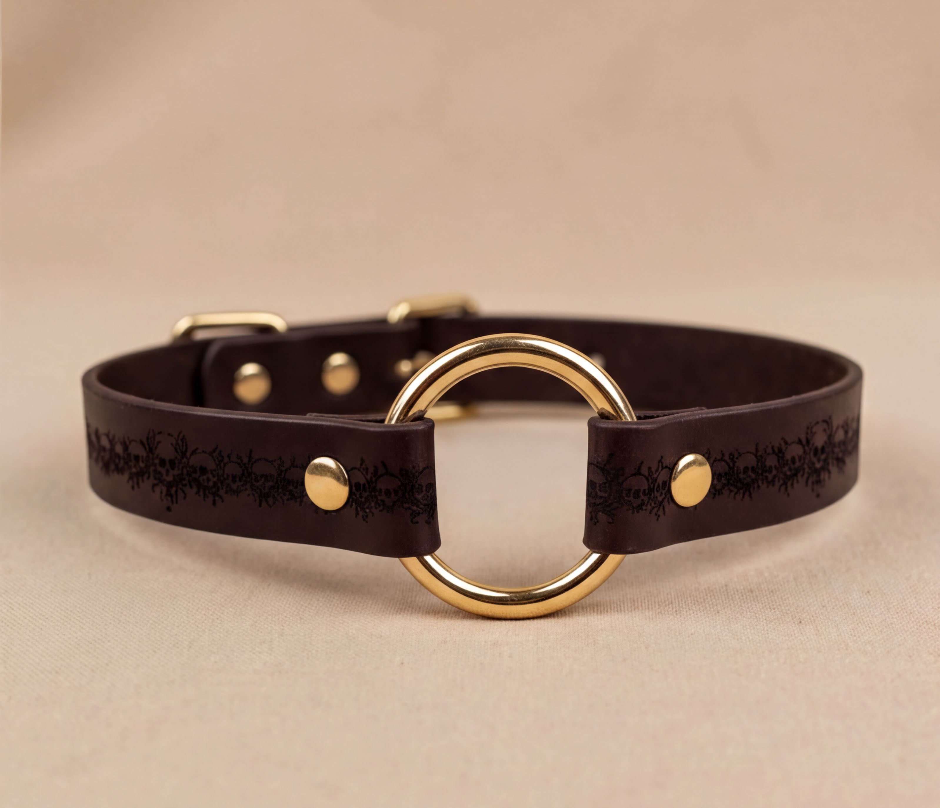 A brown leather collar with a gold-colored circular buckle.