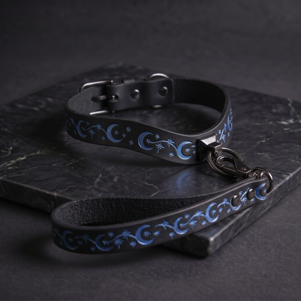 A black leather dog collar with blue star and crescent designs, and a matching leash, resting on a dark surface.