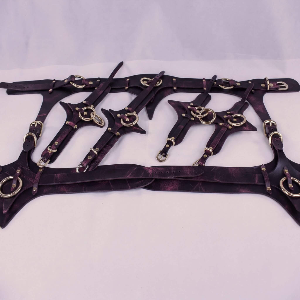 A collection of leather straps with metal rings and buckles, arranged in a decorative manner.