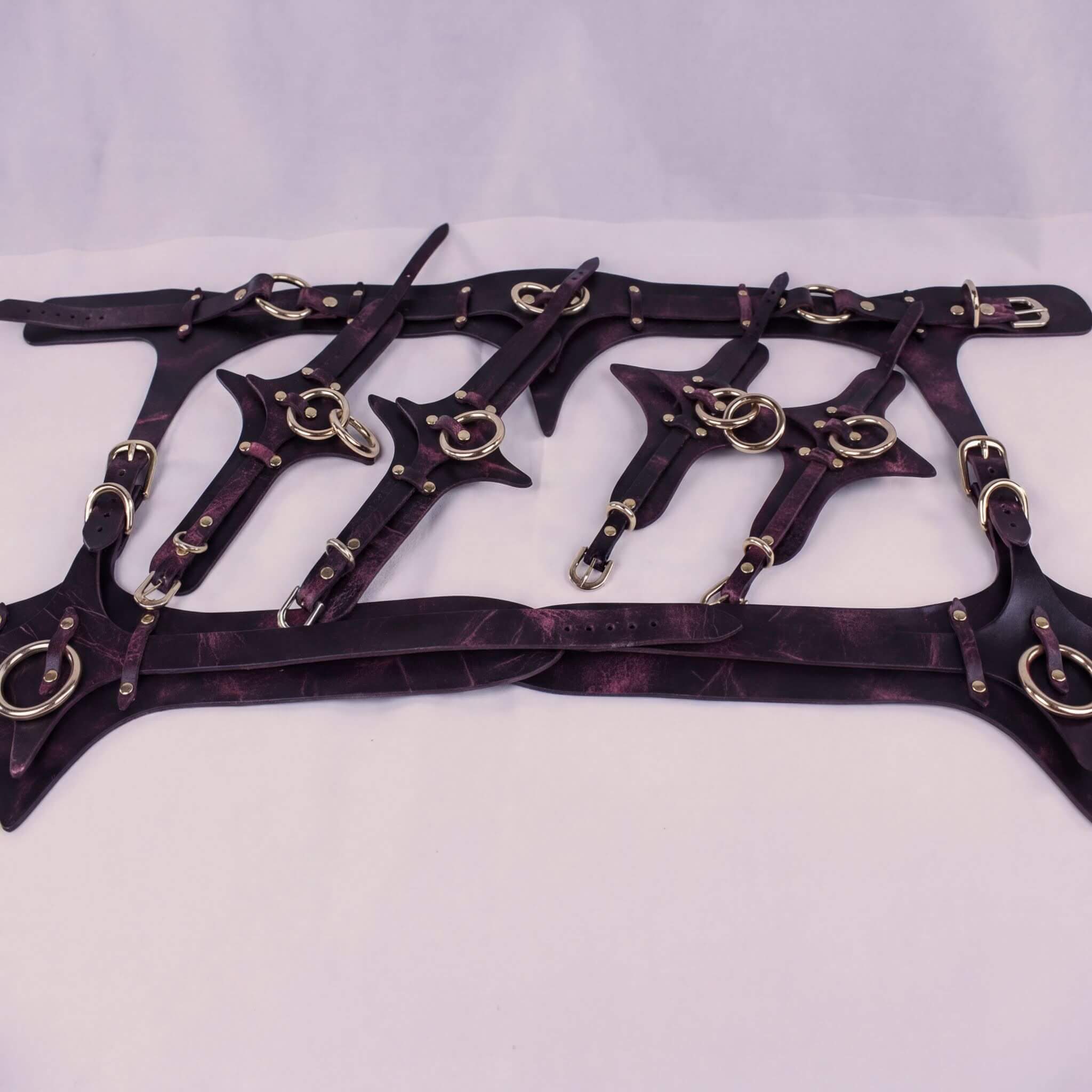 A collection of leather straps with metal rings and buckles, arranged in a decorative manner.