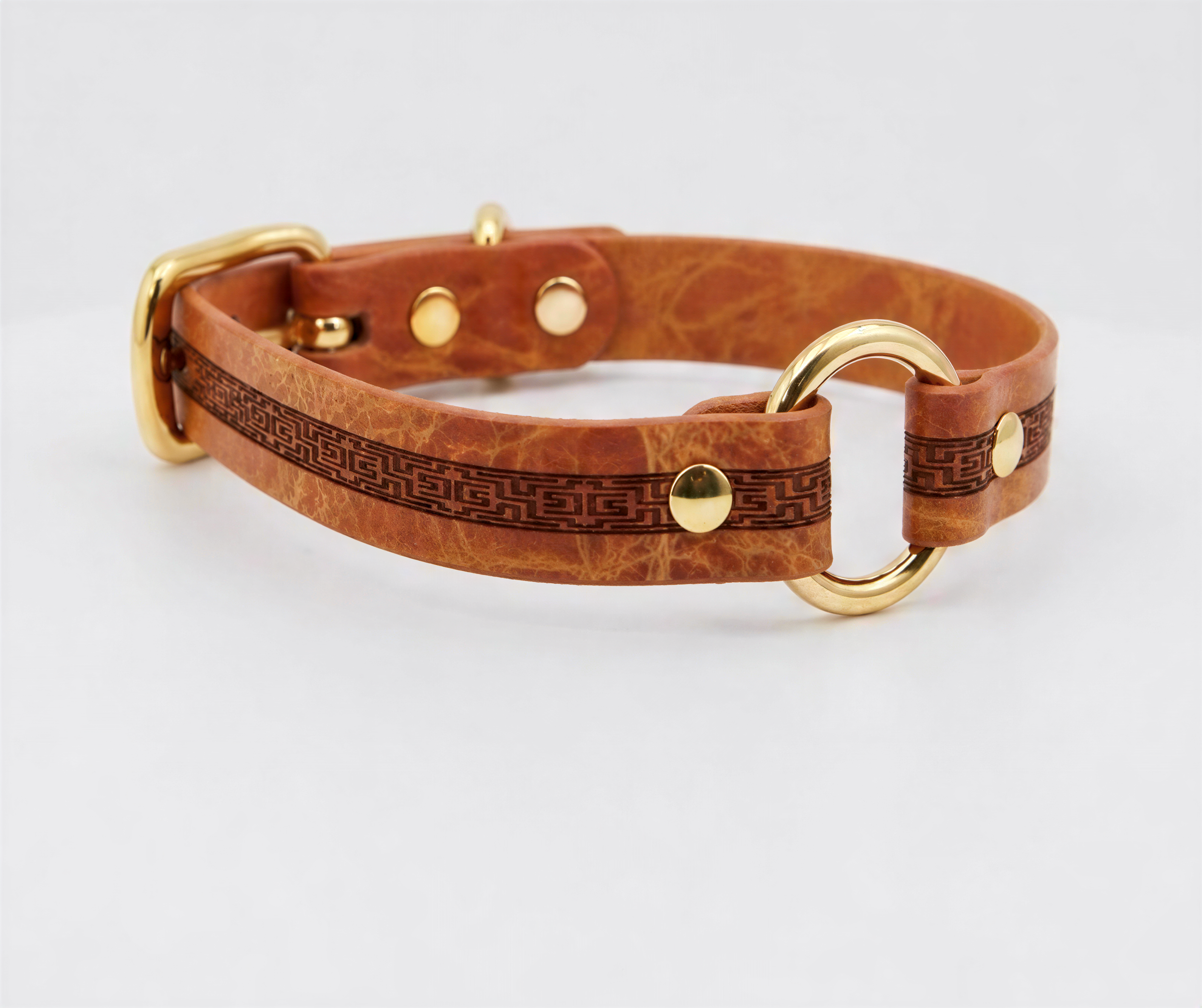 A brown leather dog collar with a gold-colored buckle and two metal rings.