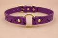 A purple leather collar with a gold ring and bat designs, featuring a purple band with black bats and stars.