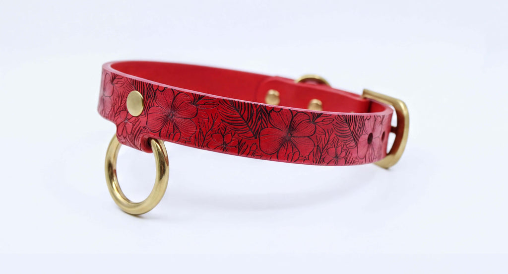 A red leather dog collar with a floral pattern and two gold-colored metal rings.