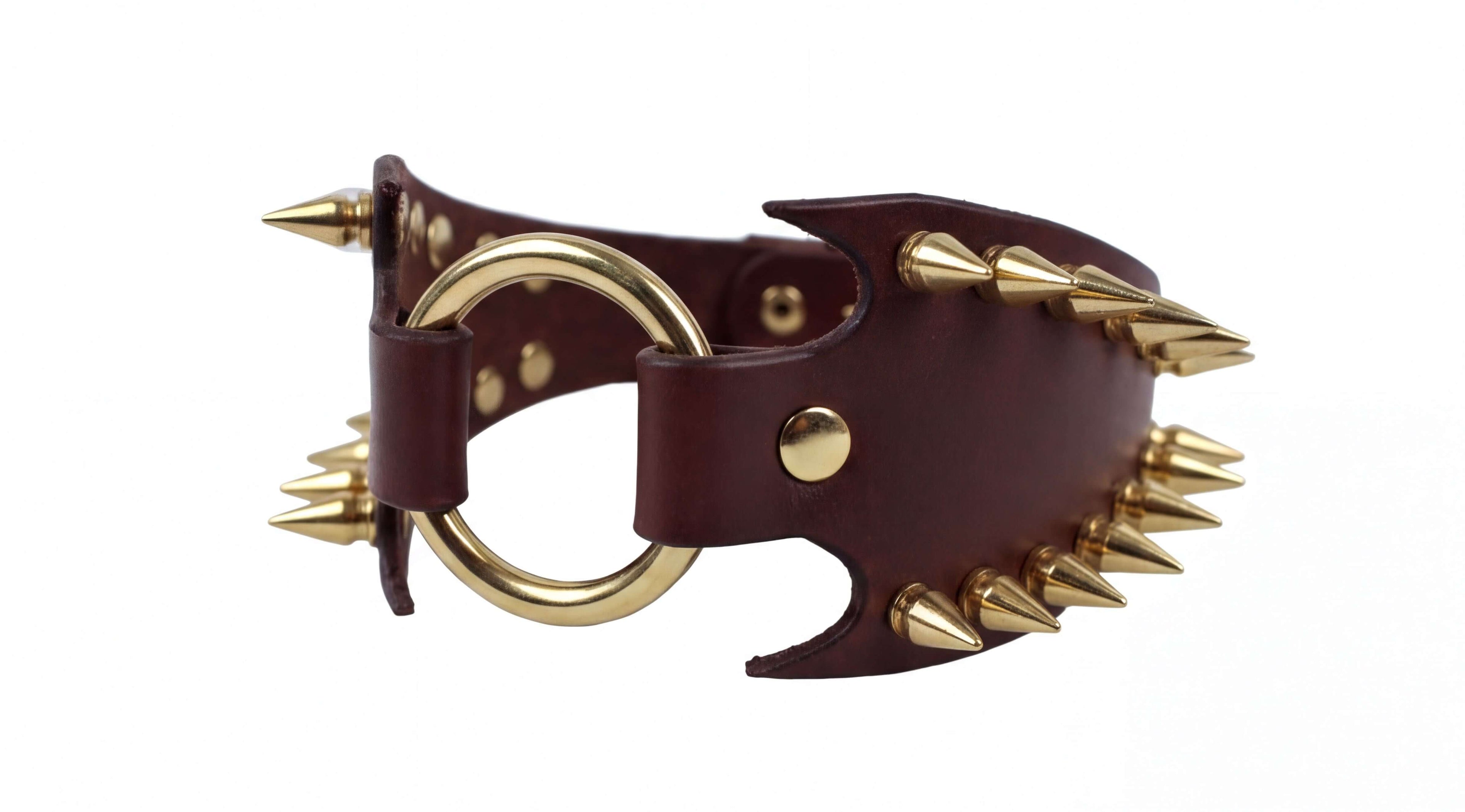A brown leather collar with gold spikes protruding from it.