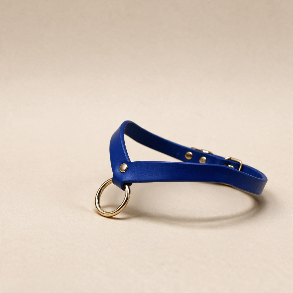 A blue leather choker necklace with a gold-colored ring and buckle.