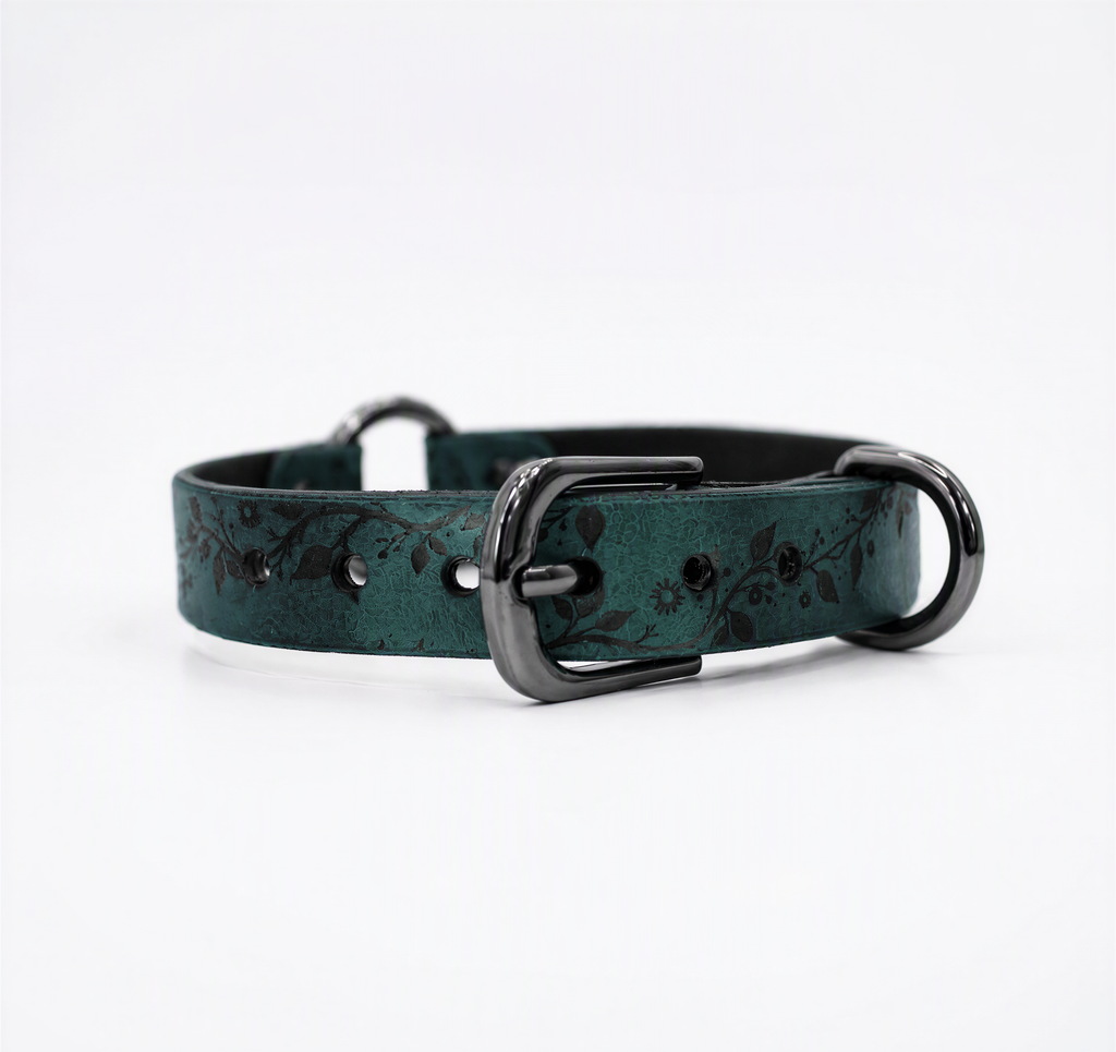 A dark green leather dog collar with a black metal buckle and two metal loops.