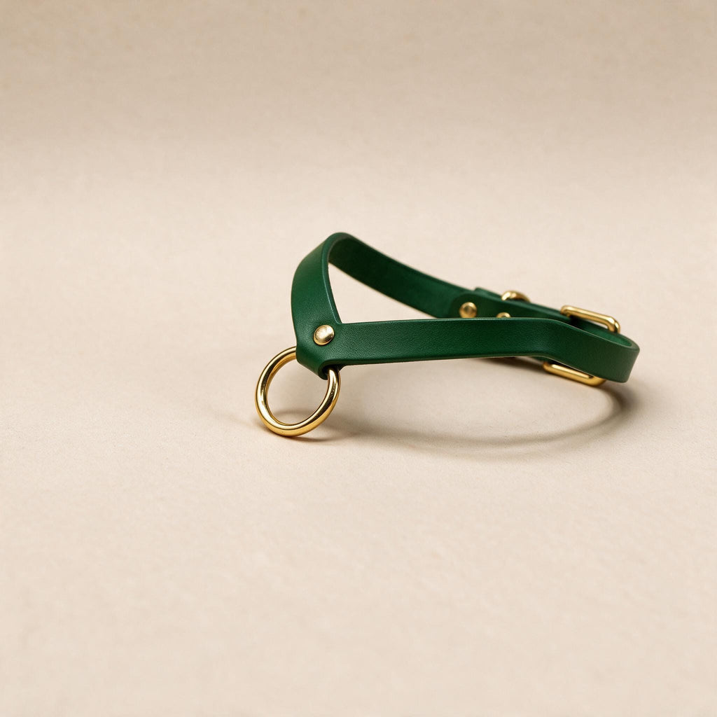 A green leather collar with a gold ring and buckle is shown against a light beige background.