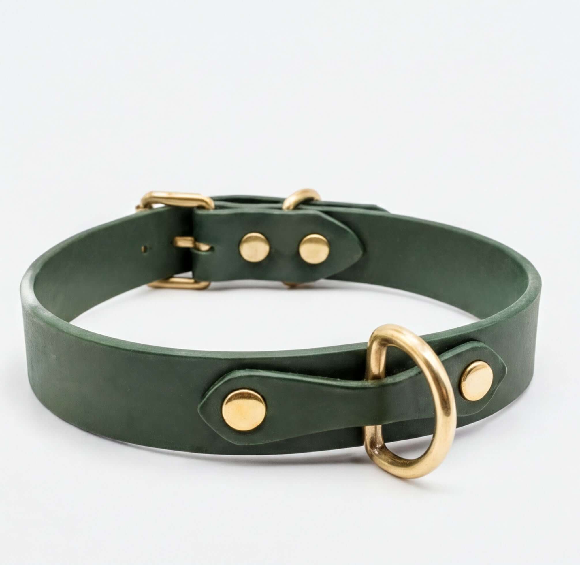 A dark green leather collar with a gold-colored metal buckle and ring.