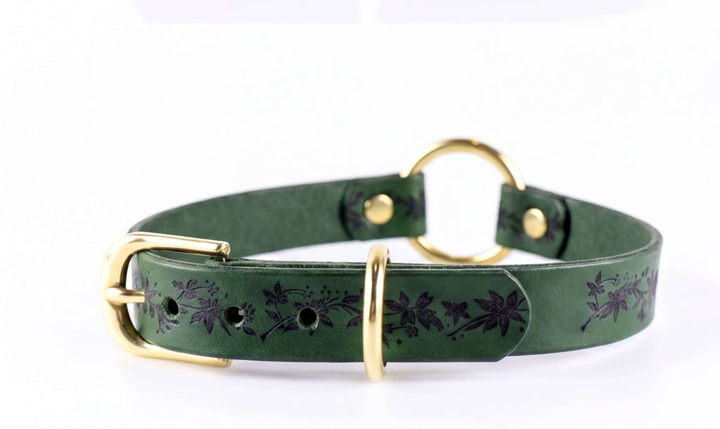A green leather collar with a gold buckle and floral pattern.