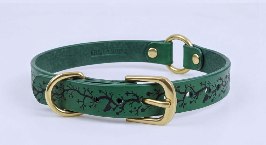 A green leather dog collar with a gold buckle and a tree branch pattern.
