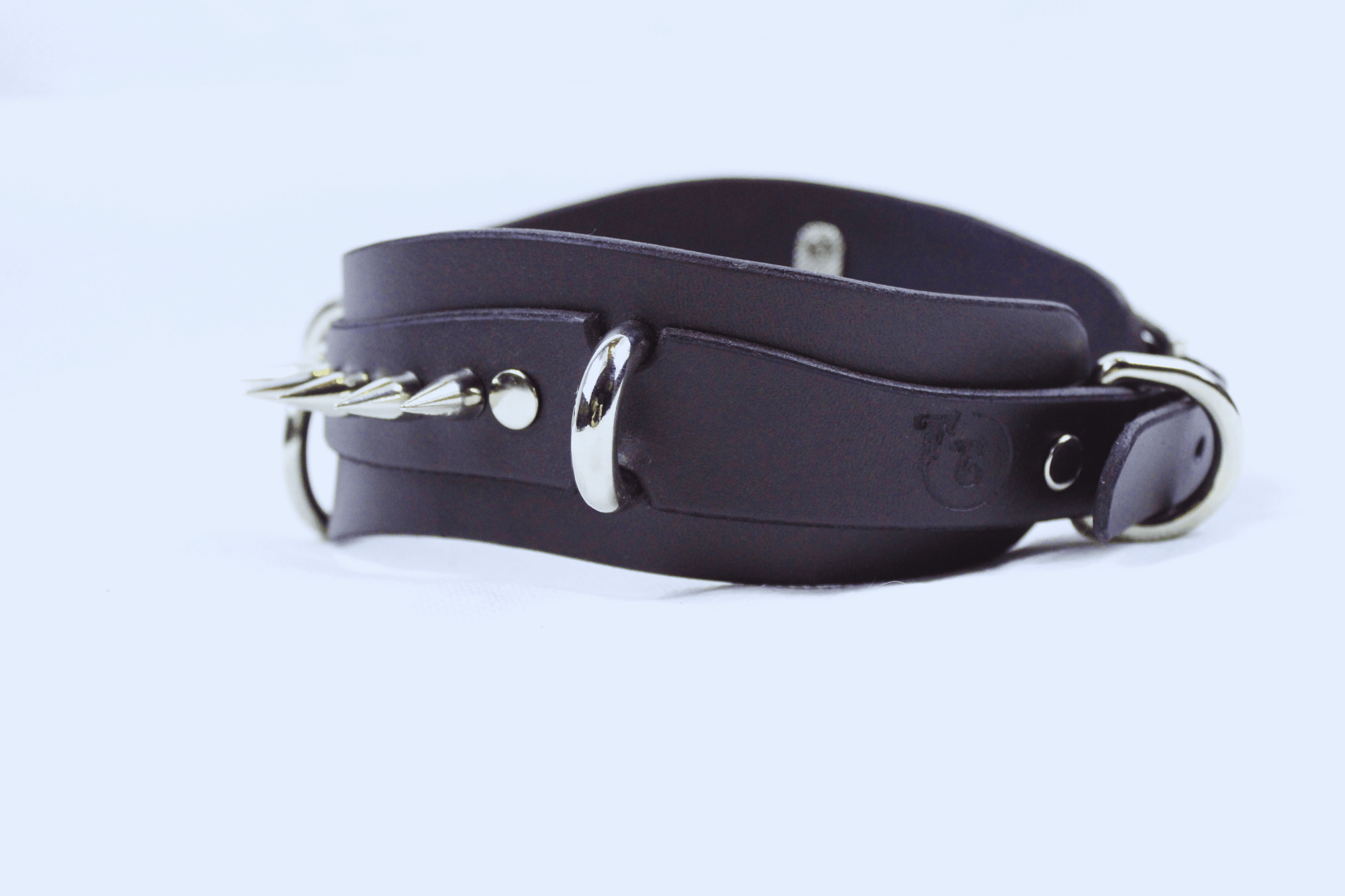 Obsidian BDSM Collar – Double Ring Submissive Choker showcasing premium black leather and stainless-steel rings.