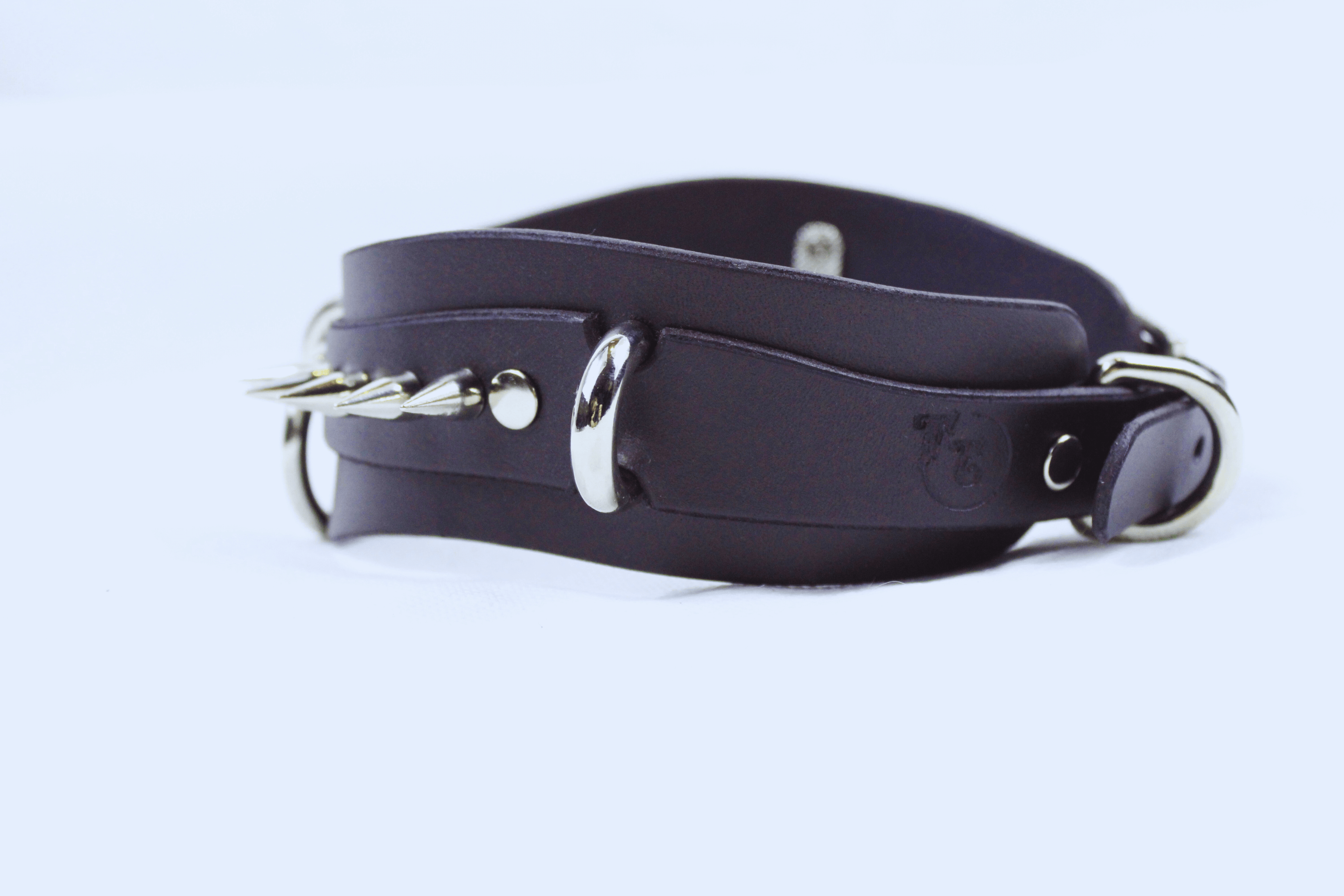 Obsidian BDSM Collar – Double Ring Submissive Choker showcasing premium black leather and stainless-steel rings.