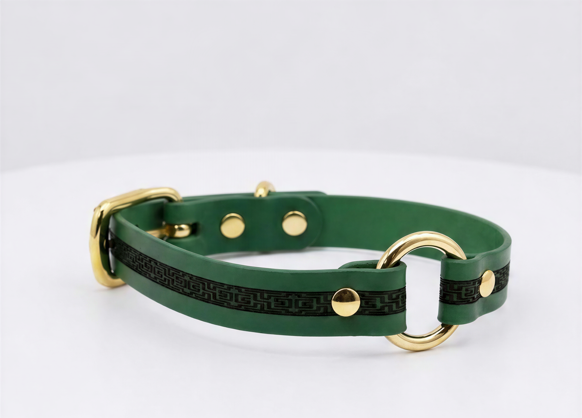 A green dog collar with gold hardware, including a buckle and two rings, is shown against a white background.