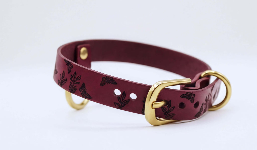 A burgundy leather dog collar with a gold-colored buckle and two holes on the front.