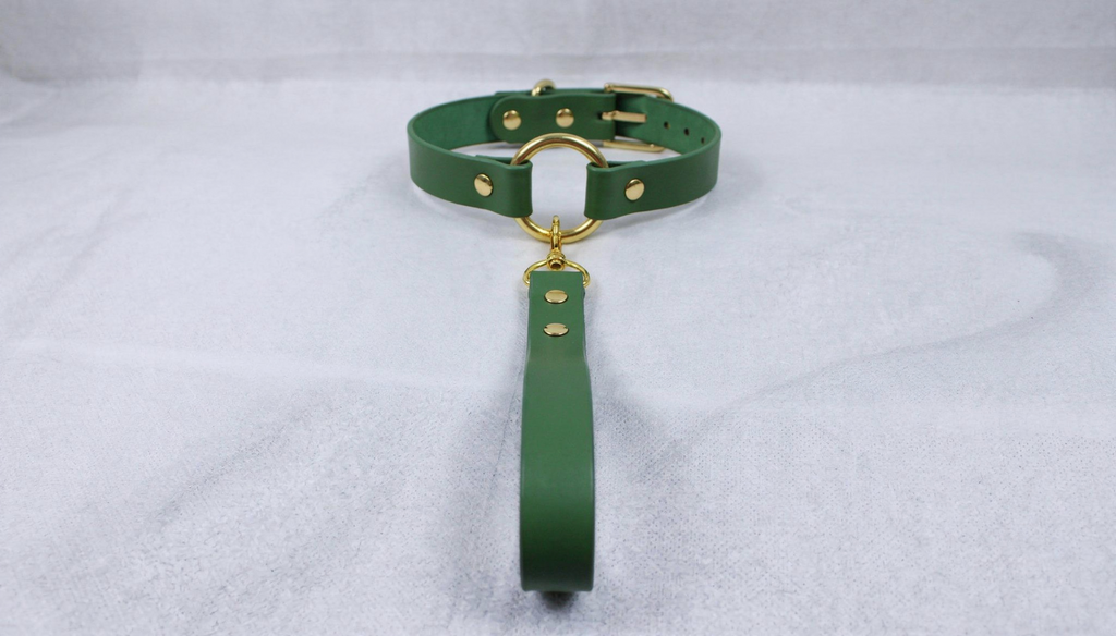 A green leather collar with a gold-colored buckle and a matching green leash attached to it.