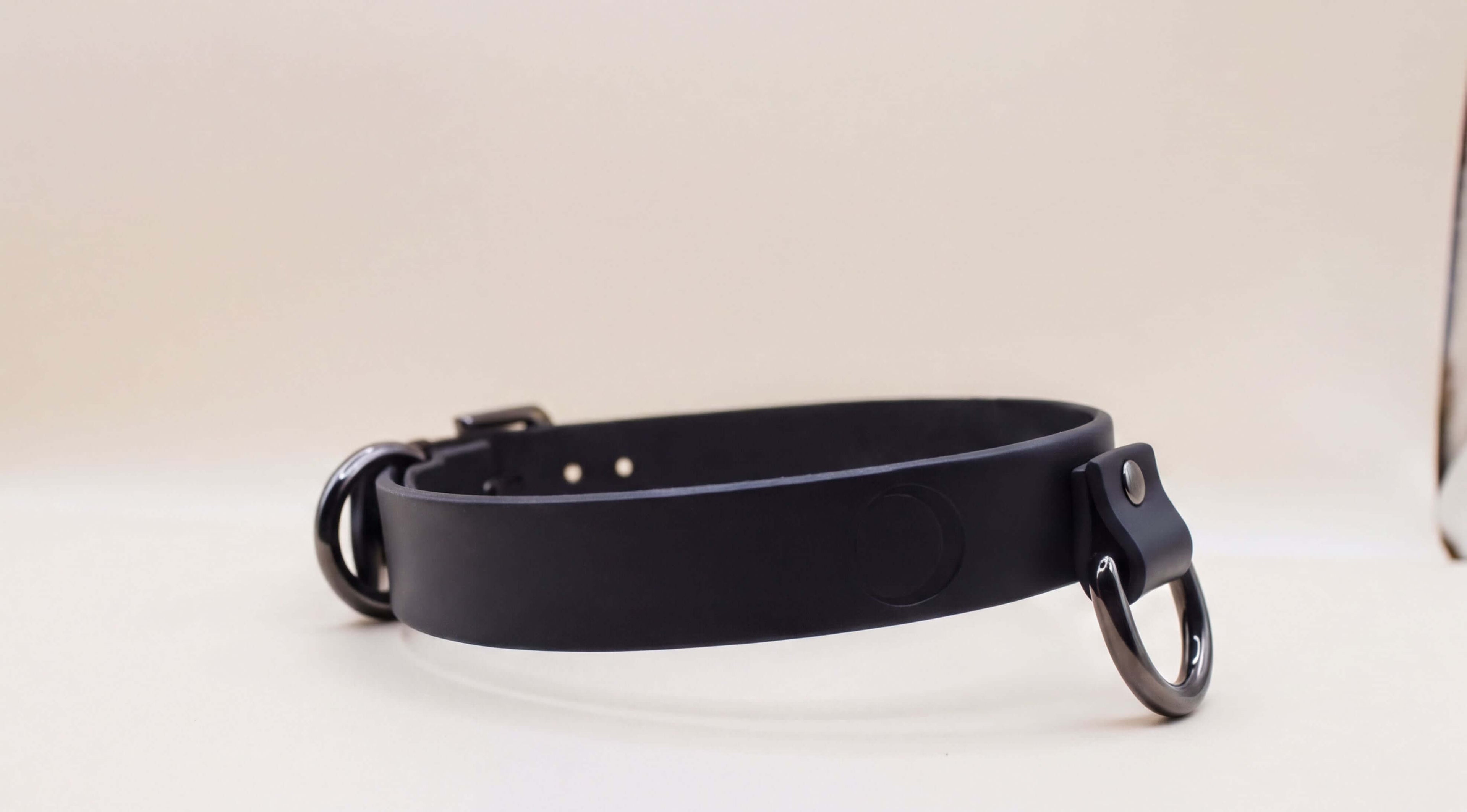 A black leather collar with metal buckles and two metal rings on either side.