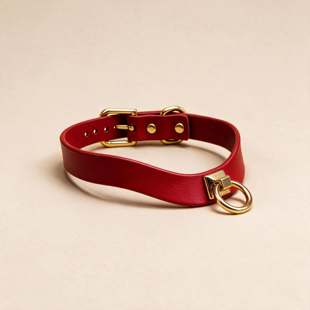 A red leather choker necklace with a gold-colored metal ring and buckle.