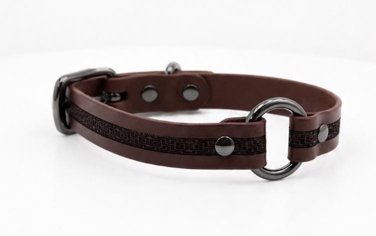 A brown leather dog collar with metal hardware, including a buckle and two metal rings.