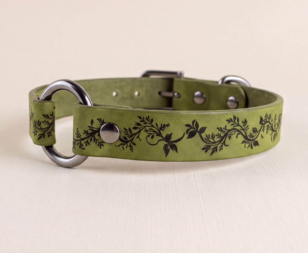A green leather dog collar with a floral pattern and metal rings.