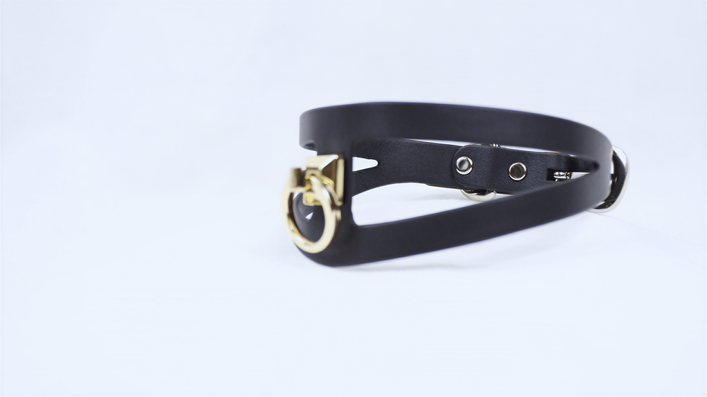 A black leather choker necklace with a gold-colored clasp and buckle.