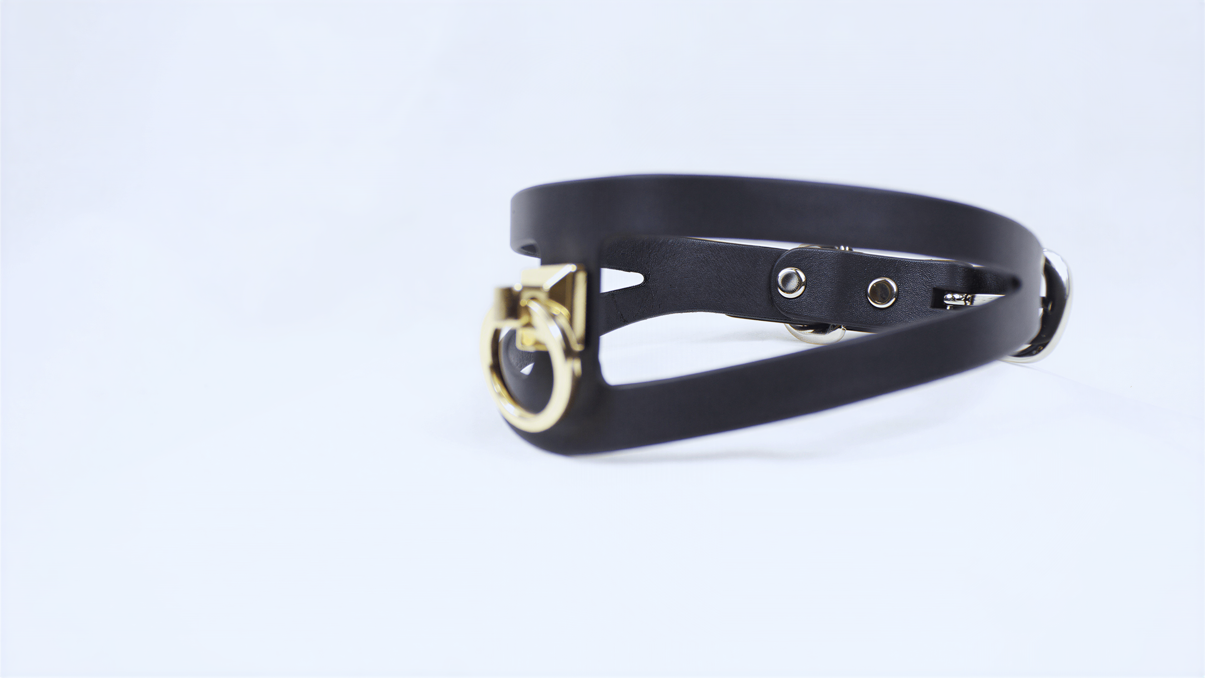 A black leather choker necklace with a gold-colored clasp and buckle.
