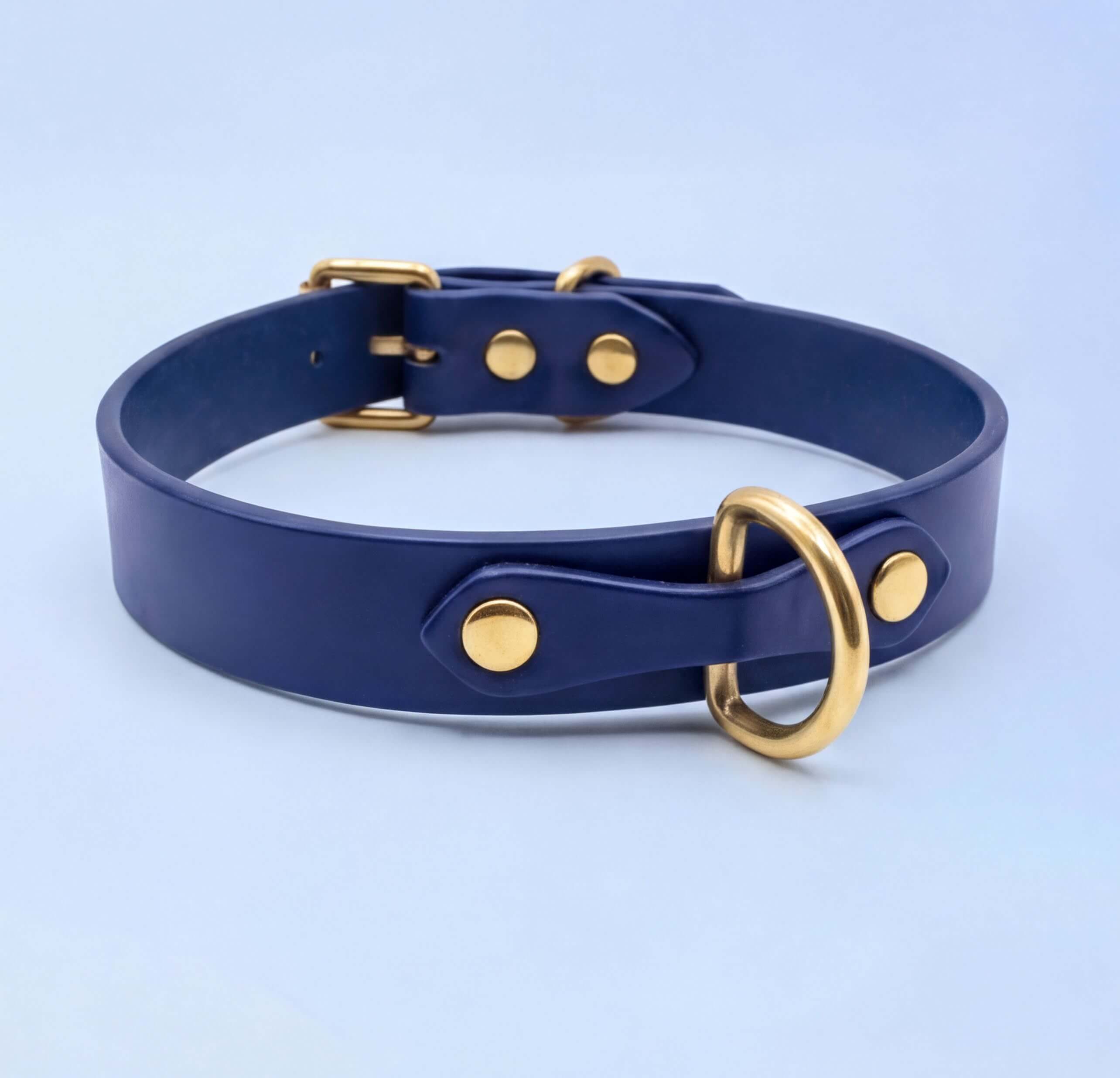 A navy blue leather dog collar with gold hardware, including a buckle and a ring, is shown against a light blue background.