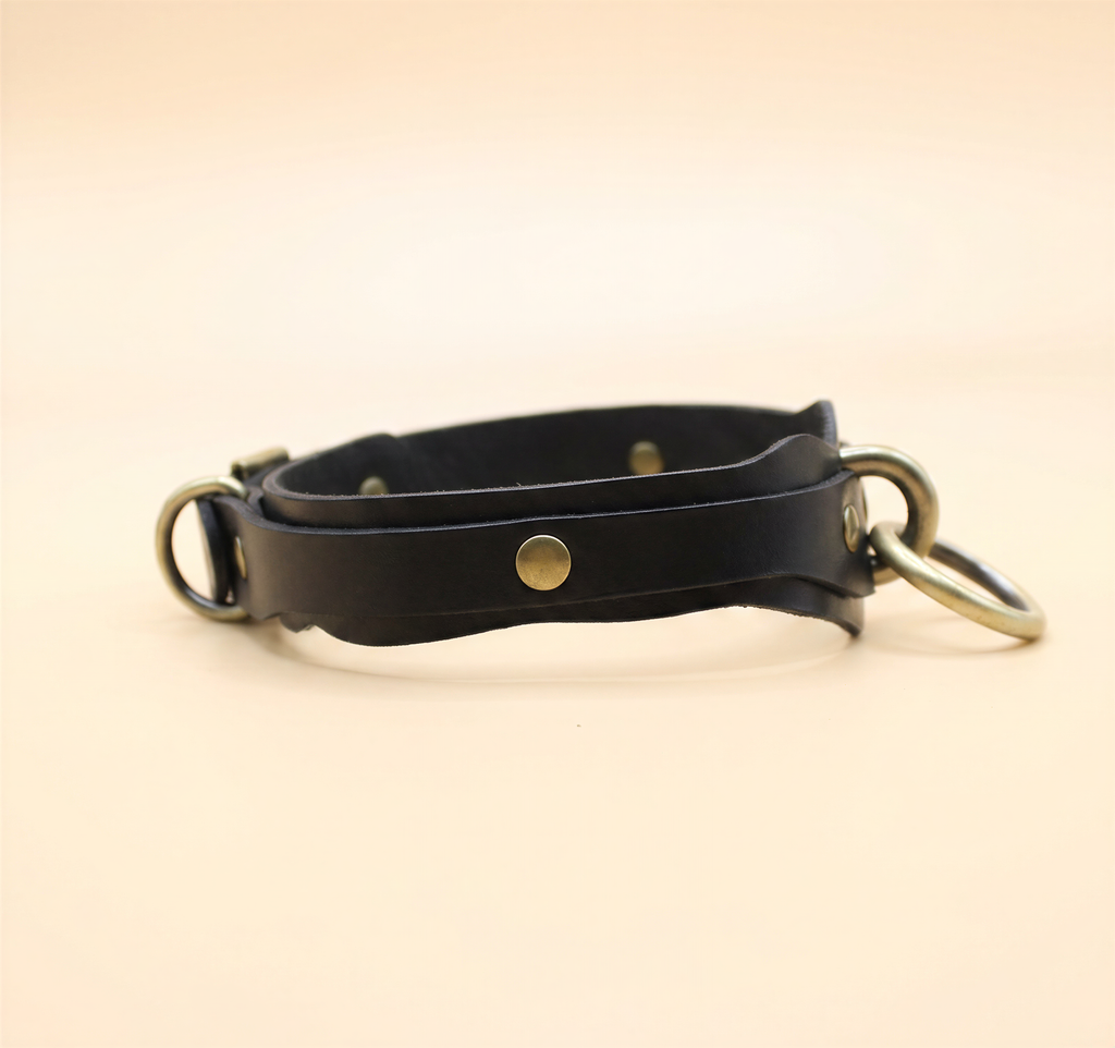 A black leather collar with metal rings and a buckle.
