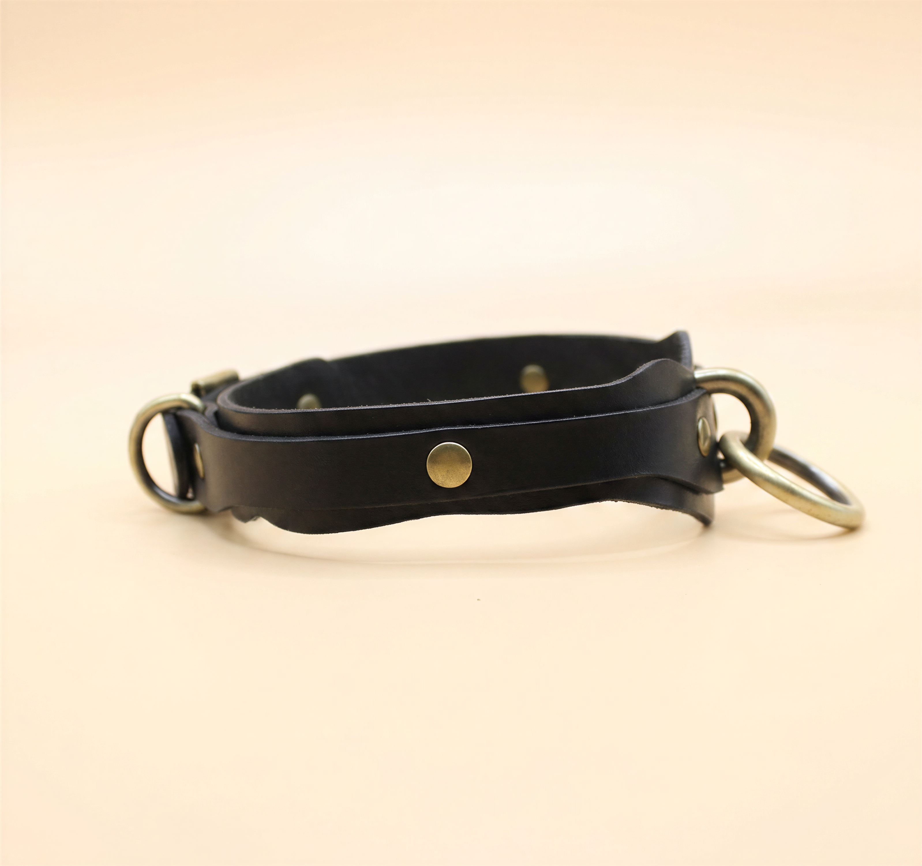 A black leather collar with metal rings and a buckle.