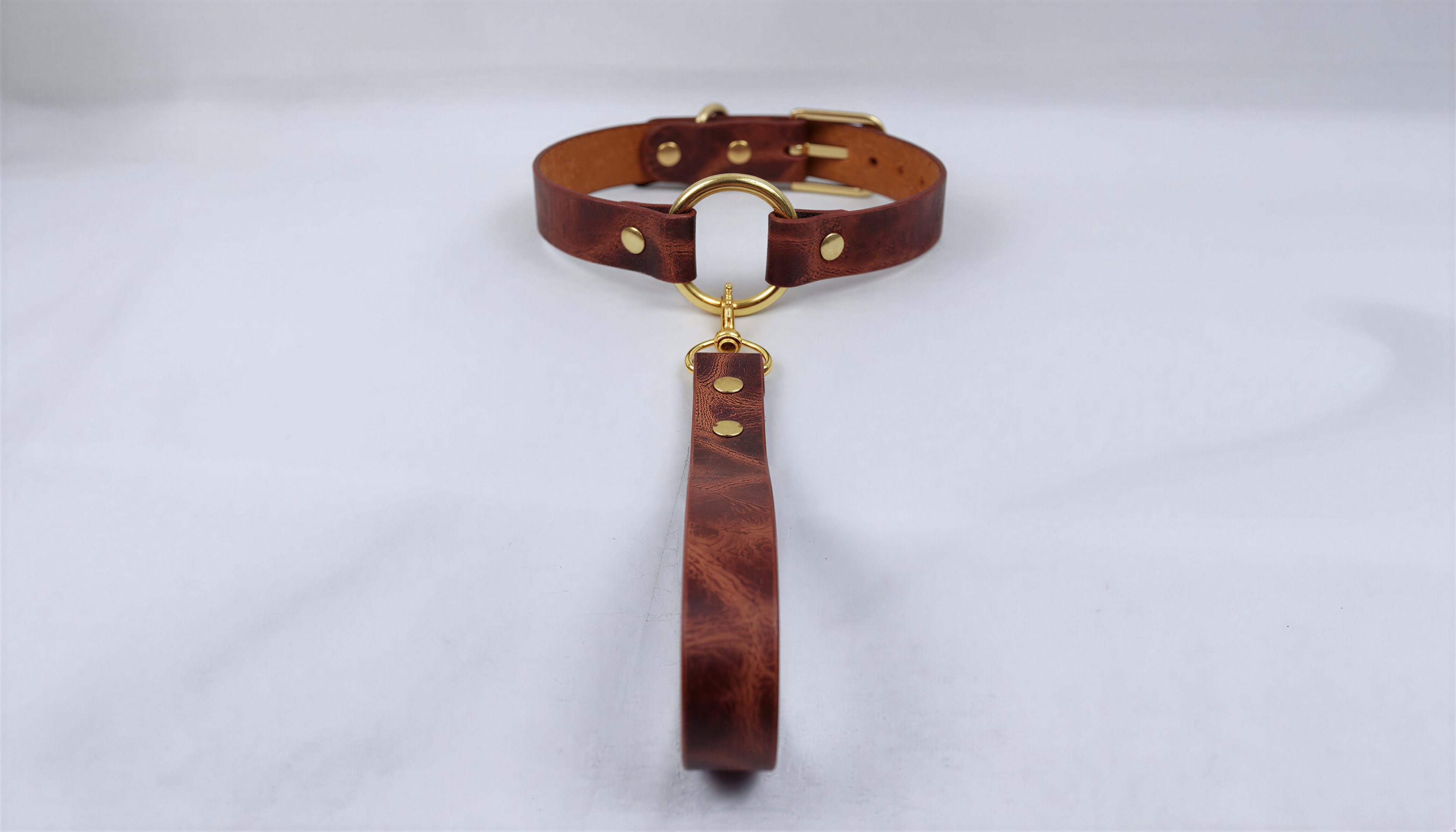 A brown leather collar with a gold-colored buckle and a handle attached to it, resting on a white surface.