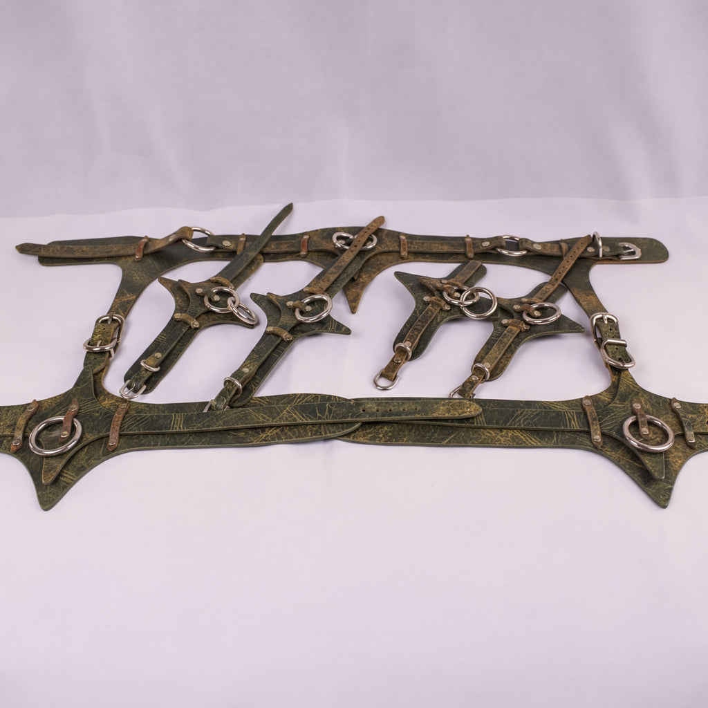 A collection of leather straps and buckles arranged on a white background.